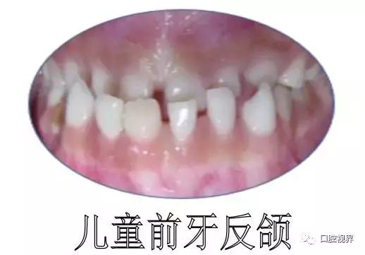 妈妈们暑假应该做什么,妈妈暑假也要让孩子学习