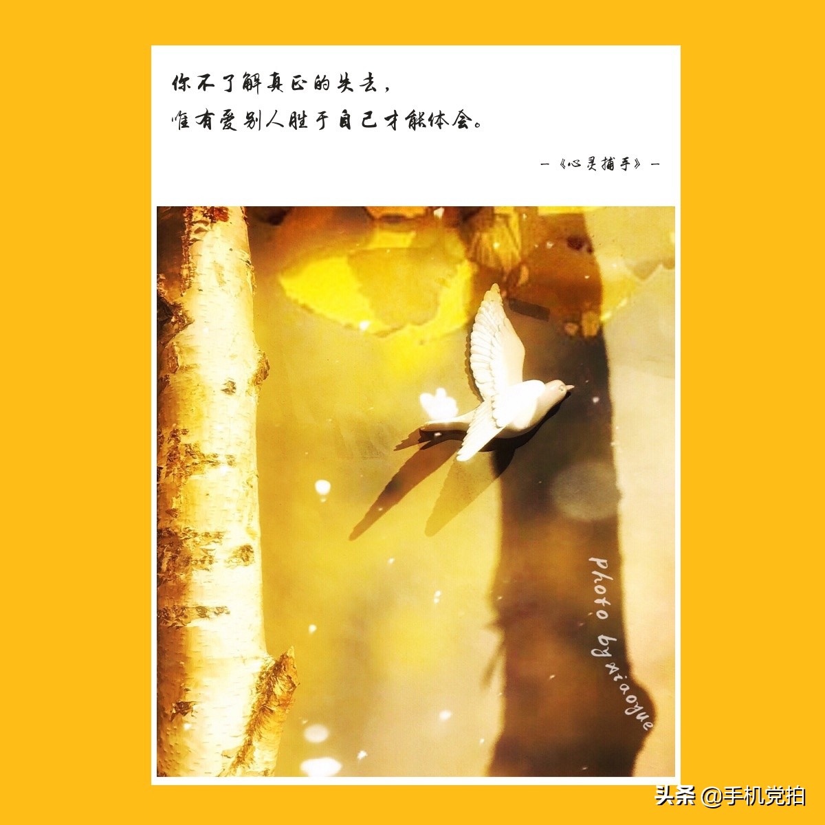 手机图片怎么添加中式印章,如何给图片加字印章