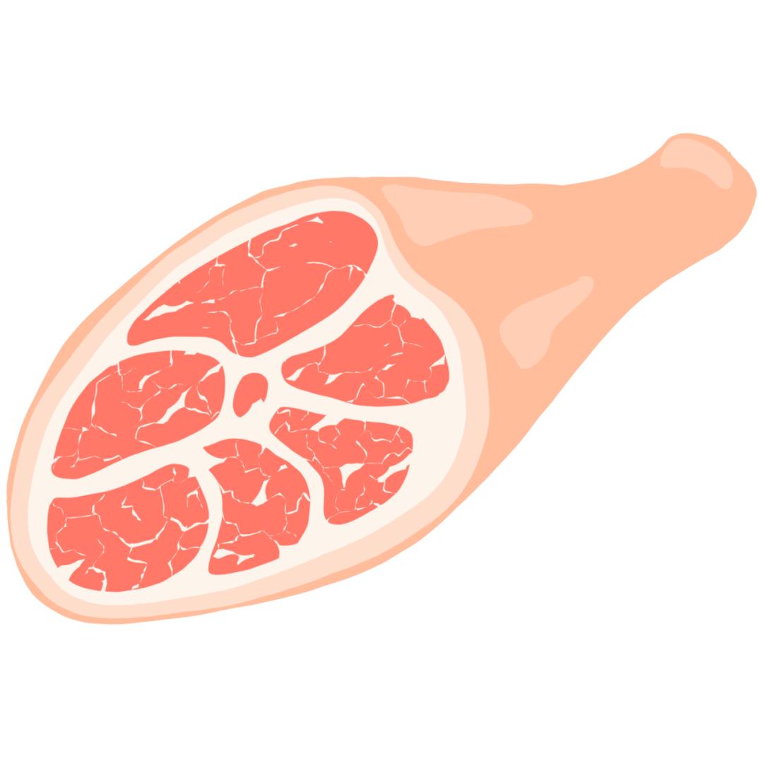 科普猫狗的危害,医生科普养猫狗提高婴儿的免疫力