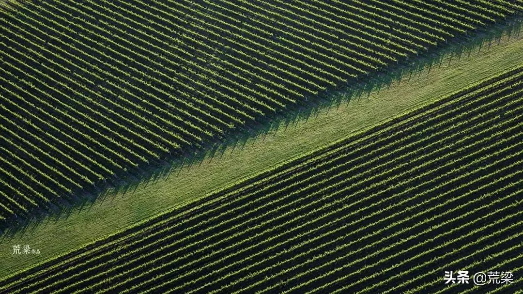 澳洲酒庄旅游,澳洲旅游攻略红酒