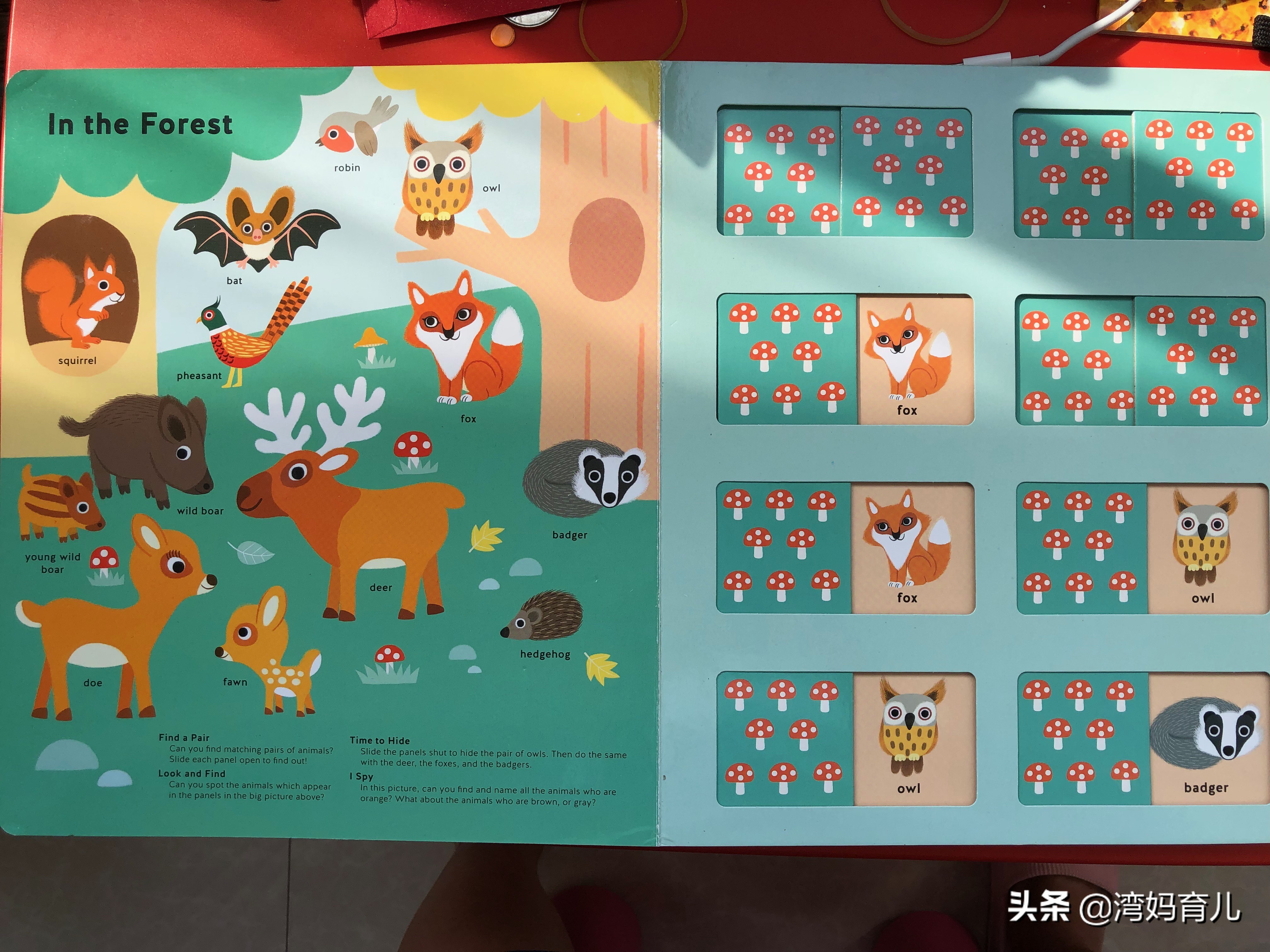 简单在家给孩子英语启蒙怎么做,幼儿学英语启蒙0-6岁英语方法