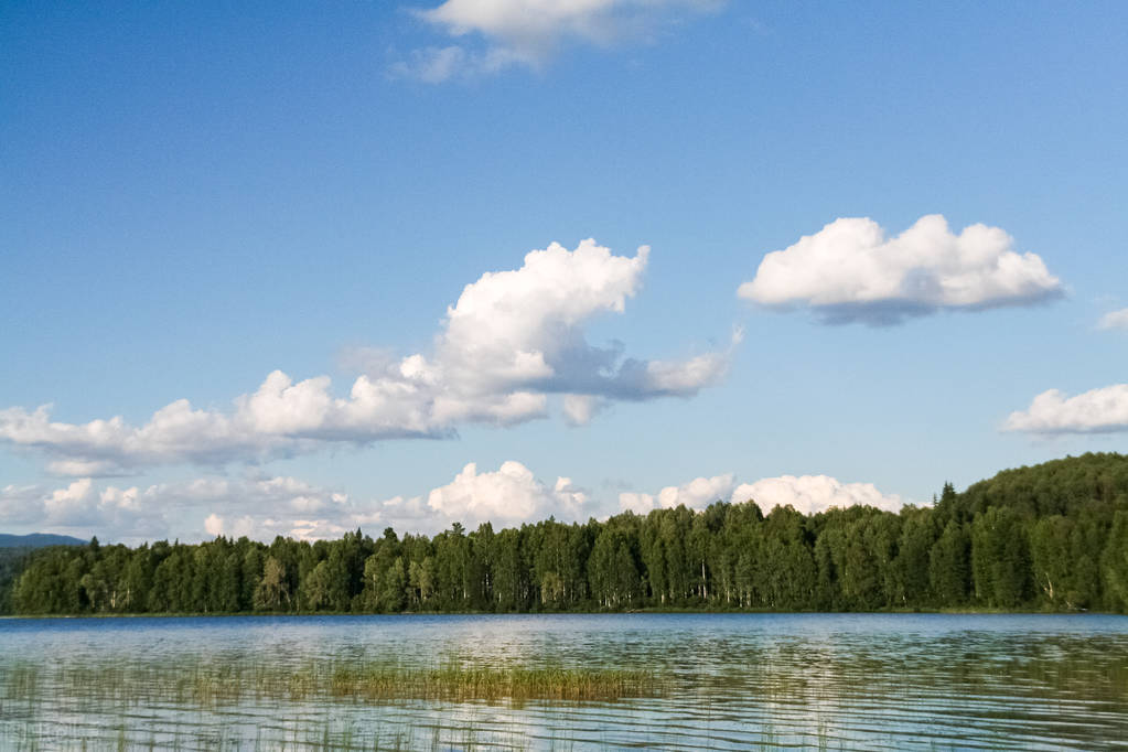 典故诗话258食蔗从梢佳境渐入