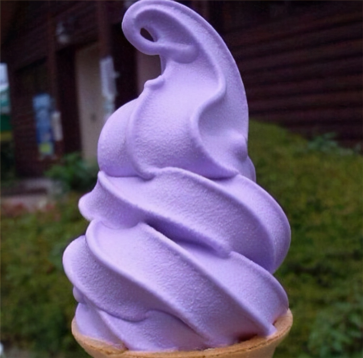 芋头为什么是青的呢,香芋为什么没有香芋味