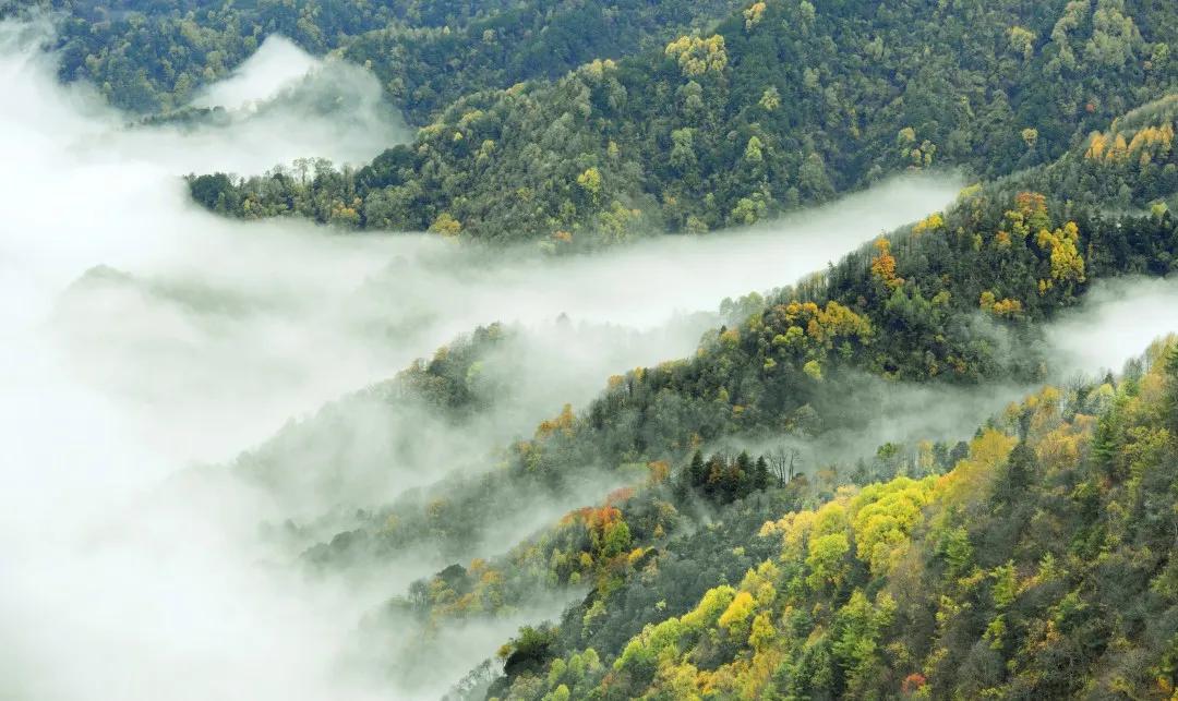 秘境飞渡峡,隐藏在秘境的旅游地