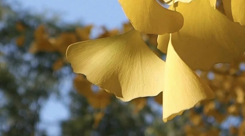 佳能apsc画幅eosr7已经开始测试了,eosm6markii教程