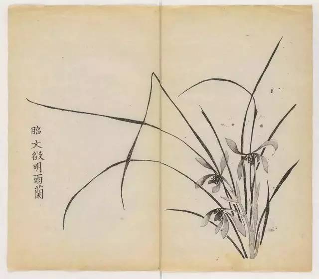 毛笔怎么画兰草,怎么画兰花和书法