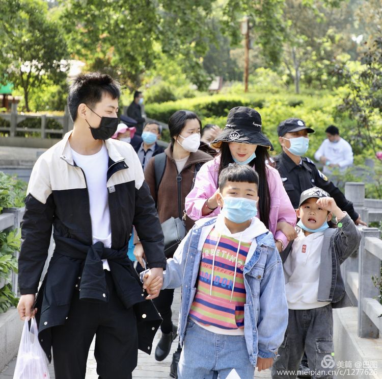 看洛阳牡丹花卉节,洛阳古都牡丹花展