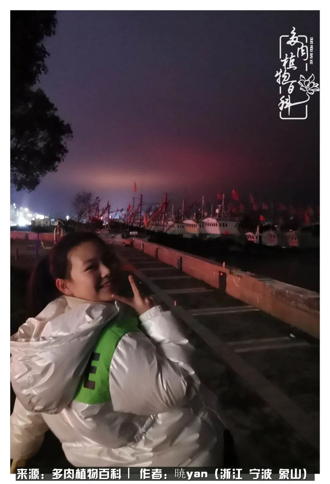 多肉初级入坑者,入坑多肉