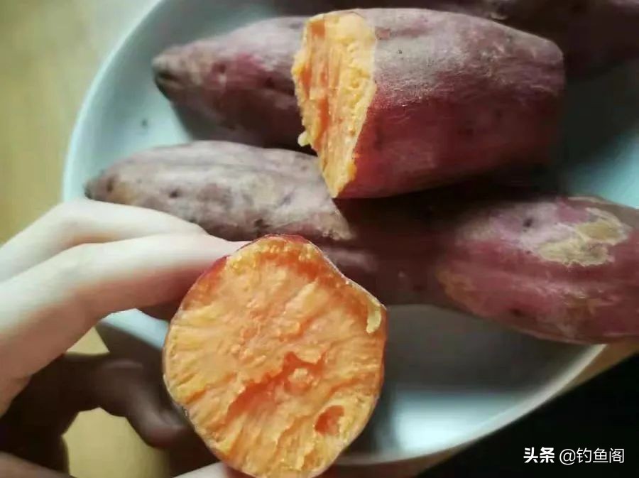鲤鱼喜欢什么味型的窝料,鲤鱼喜欢什么窝料
