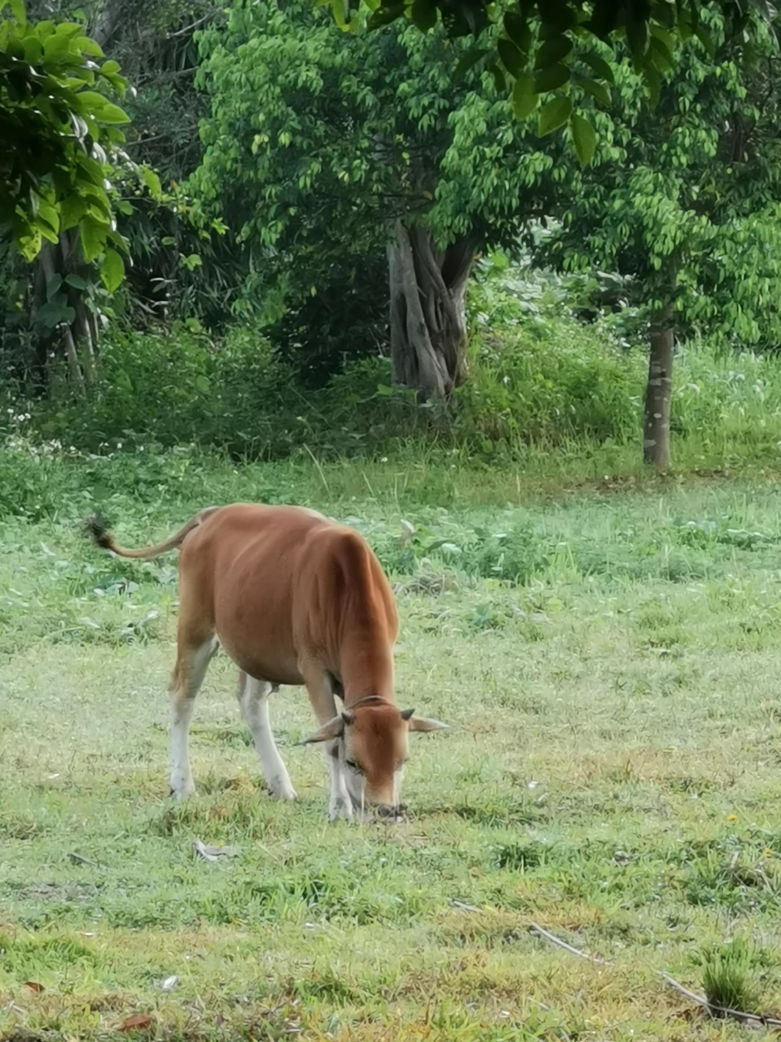 手拍世界（手机摄影平台）-群员作品集（总第671期）