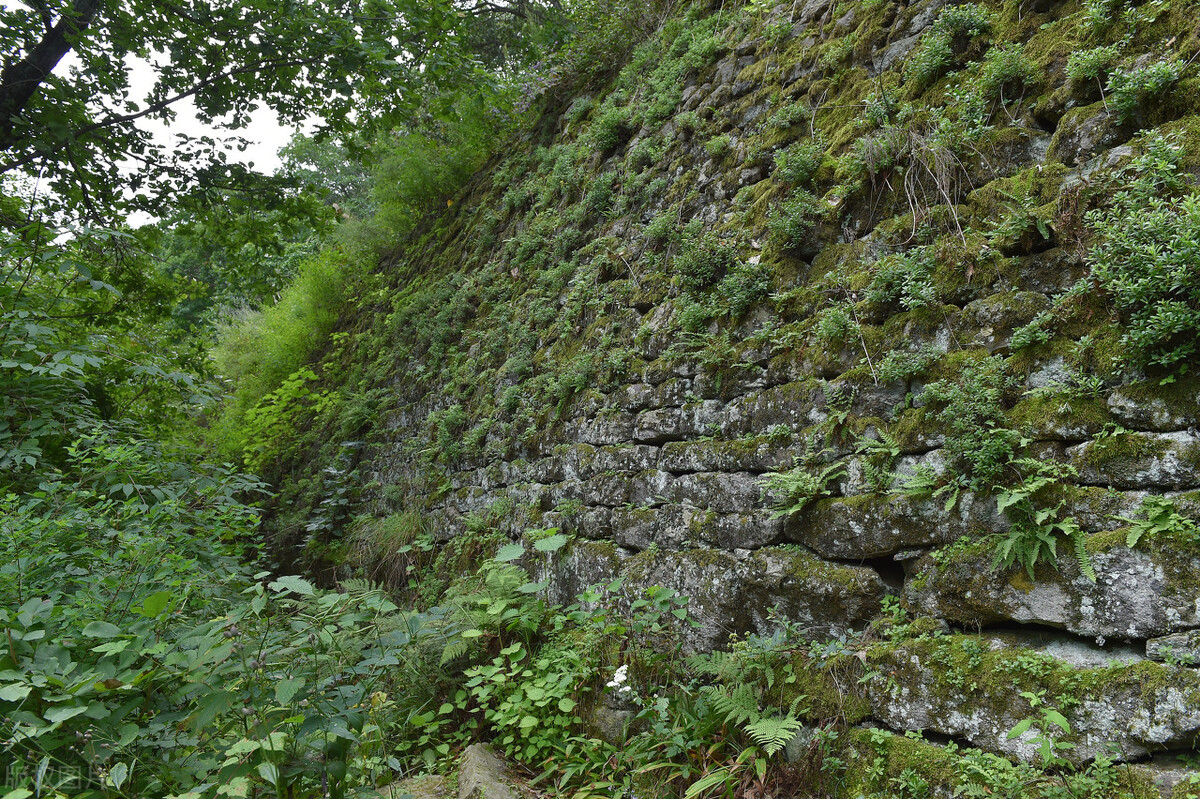 东北四大遗产介绍,东北三项世界遗产