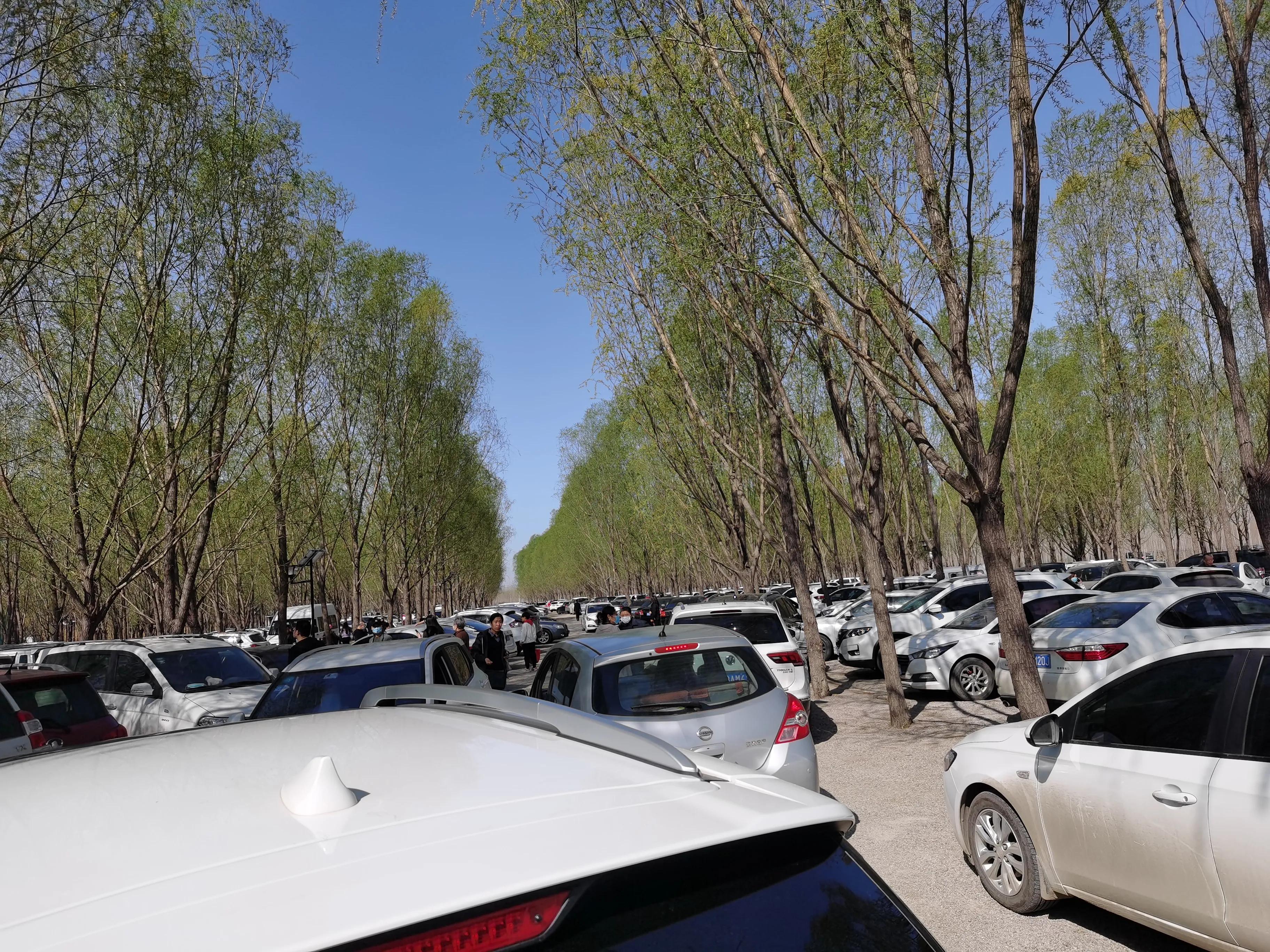 丰南半亩方塘景区,唐山丰南半亩方塘怎么样