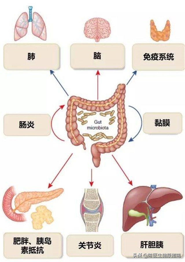 国产降血压新药阿利沙坦酯价格,降压药阿利沙坦酯