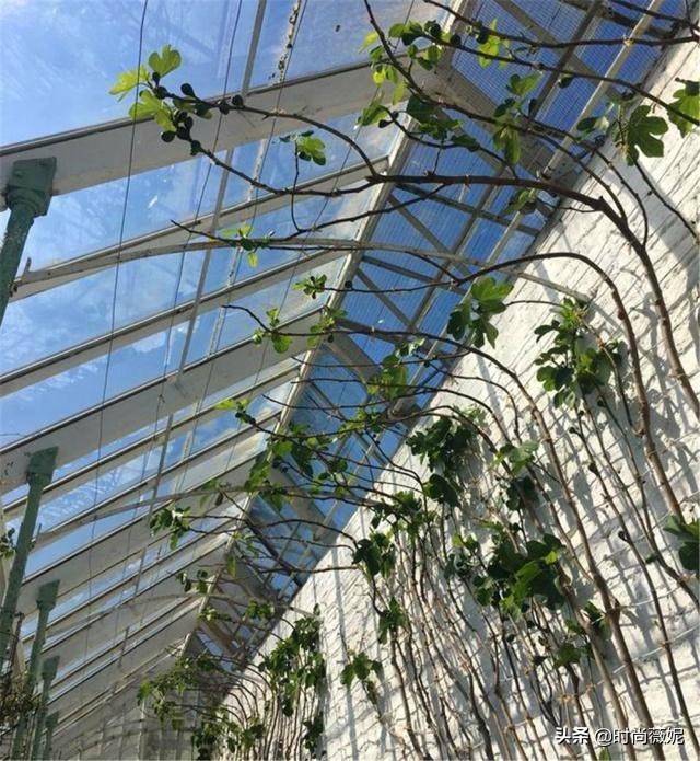 鍥壓鍒涙剰閫犲瀷鐩嗘櫙,鍥壓鐩嗘櫙鍒涙剰璁捐