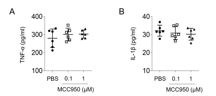 nlrp3抑制剂研究进展,nlrp3抑制剂临床
