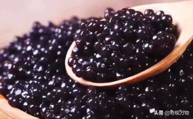 白化鲟鱼鱼子酱多少一条,鲟鱼鱼子酱值多少钱