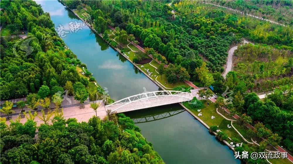 成都双流怎样,你怎么那么绿是什么梗