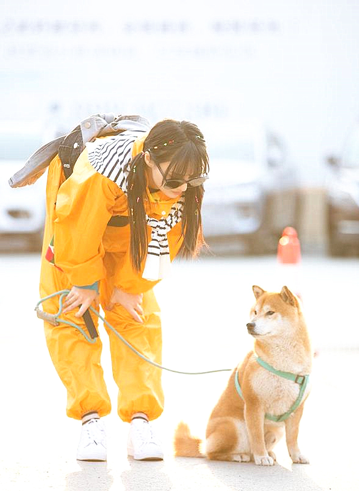 郑爽怕狗狗咬自己，竟要把狗狗牙齿磨平，这是无知还是天生冷漠？