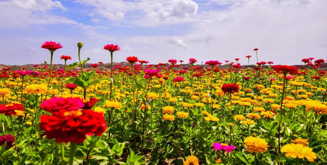 12个理由告诉你，为什么黄河石林值得一去再去