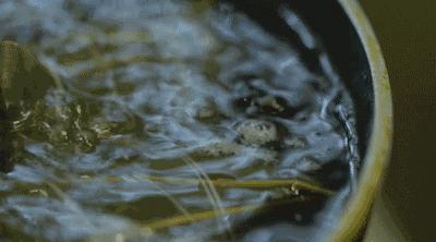 粽子怎么能包的特别紧不漏米,煮粽子时为何会出现粽子夹生现象