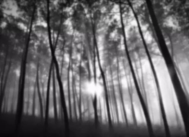 桑兰:磨难,坚韧,向阳而生