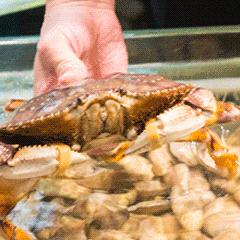 有一种炫富叫辽宁开海,在山东有一种炫富叫开海