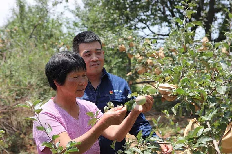 村书记在乡下帮村民处理什么事情,驻村干部下地干活