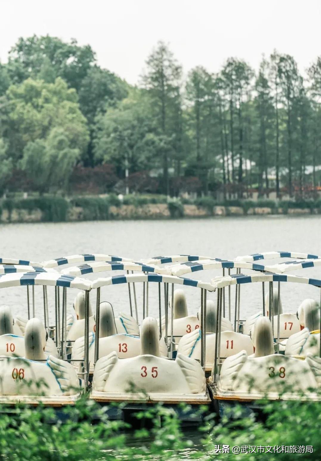 武汉动物园哪一个更好玩,九峰森林动物园与武汉动物园