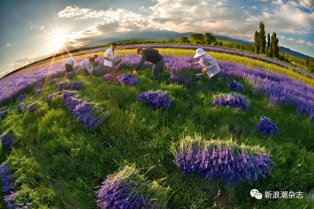 福瑞达：在而立之年，立长盛之约