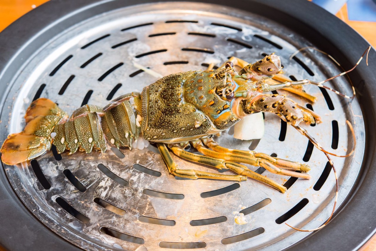 厦门青龙虾海鲜价格,厦门好吃的龙虾排行榜