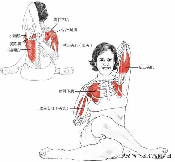 富贵包快速消除背部方法,为什么背有富贵包