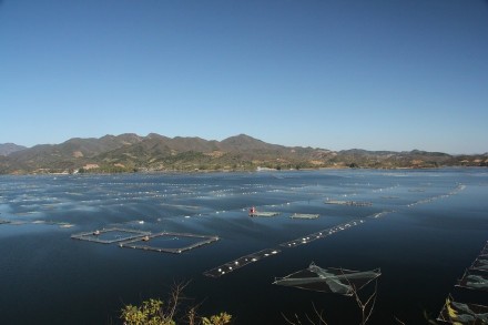内蒙古赤峰旅游攻略路线推荐,自驾游内蒙古赤峰旅游攻略