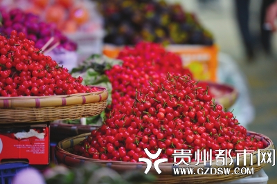 现采摘新鲜樱桃多少钱一斤,现摘的樱桃5块一斤