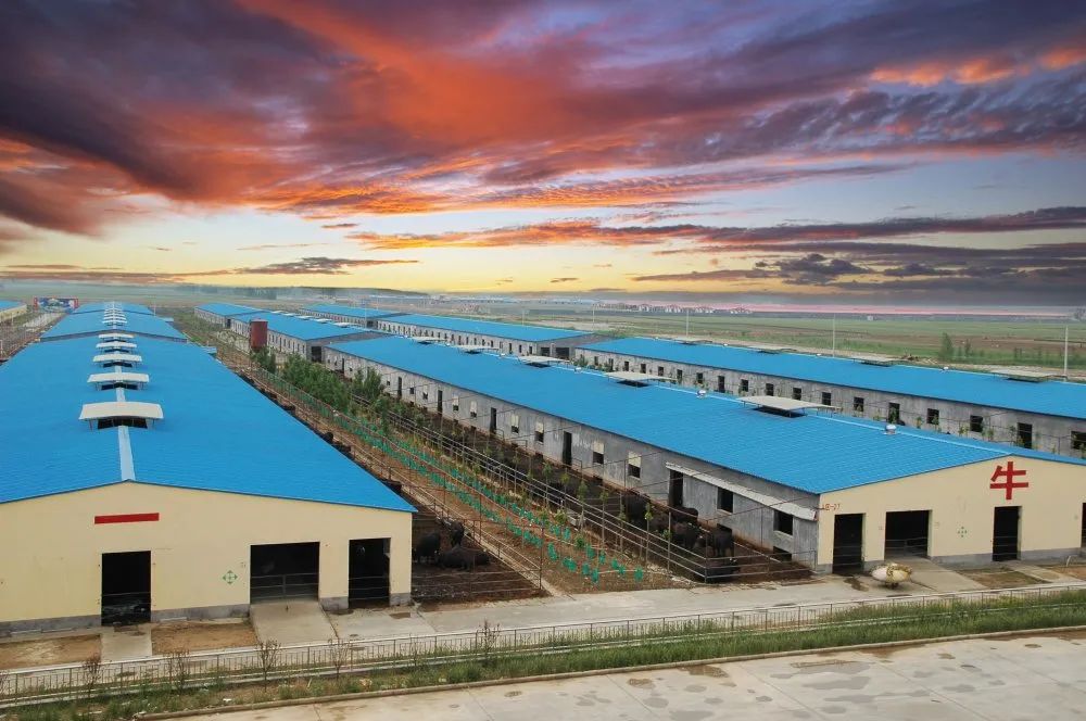 淄博新消息,淄博新景区最新消息