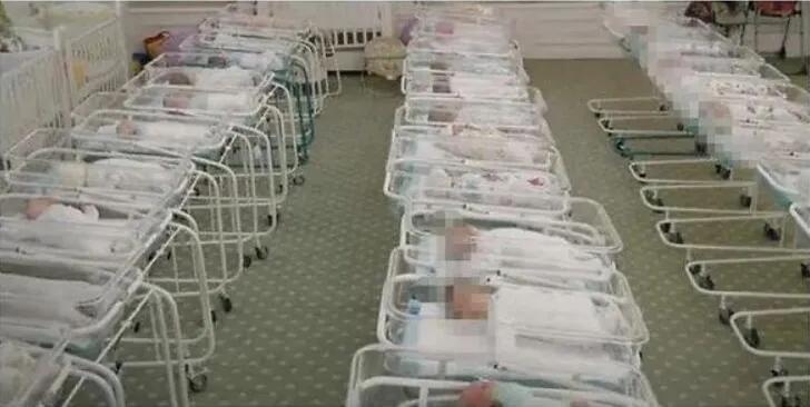 惊天大瓜!郑爽被曝美国代孕生子?起底背后黑产链:地下机构超400家,暴利高达60%