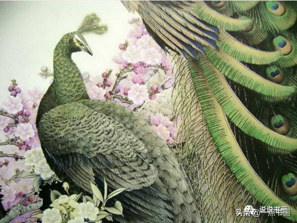 工笔国画孔雀画高清大图,工笔孔雀的画法步骤