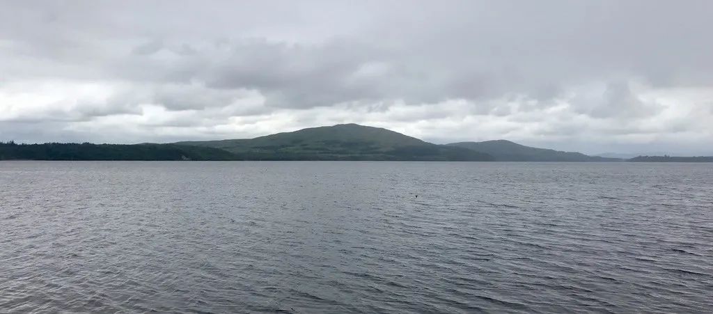 飞鸟越过珊瑚海,飞鸟越过山林