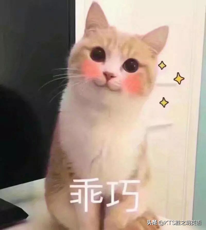 kts鑳滀箣鐜ヨ嫳璇潬璋卞悧,kts鑰冭瘯