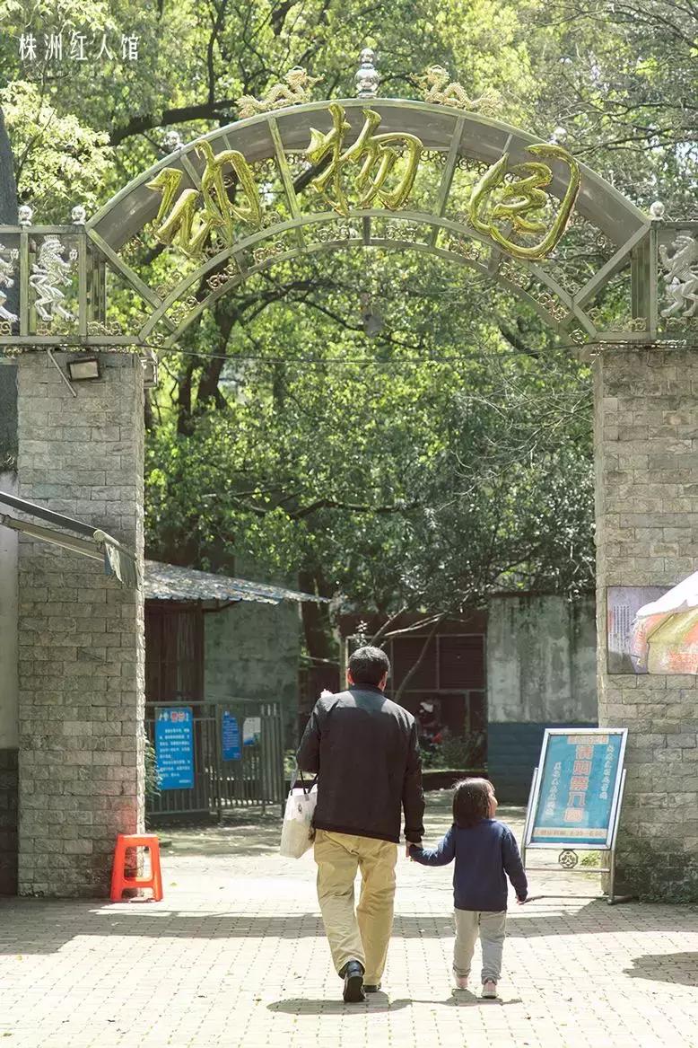 株洲神农公园老照片,株洲市神农公园