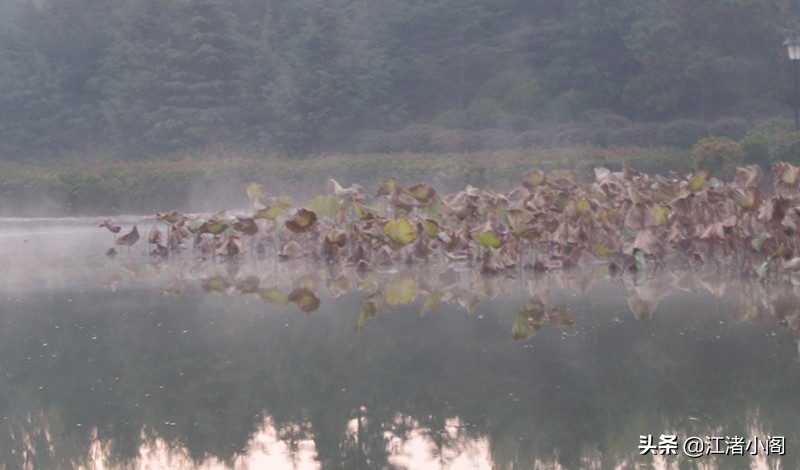 没有工作动力怎么办,工作没有动力情绪低落