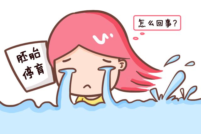 胚胎停育了会怎么样,怀孕了胚胎停胎是怎么了