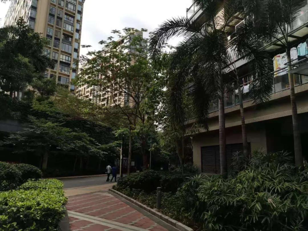 东部房价为什么这么高,东部房价