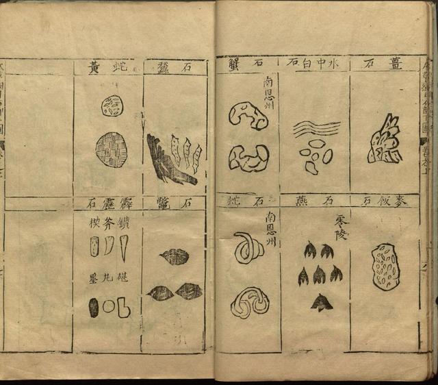 本草纲目中插图是李时珍画的吗,本草纲目李时珍插图