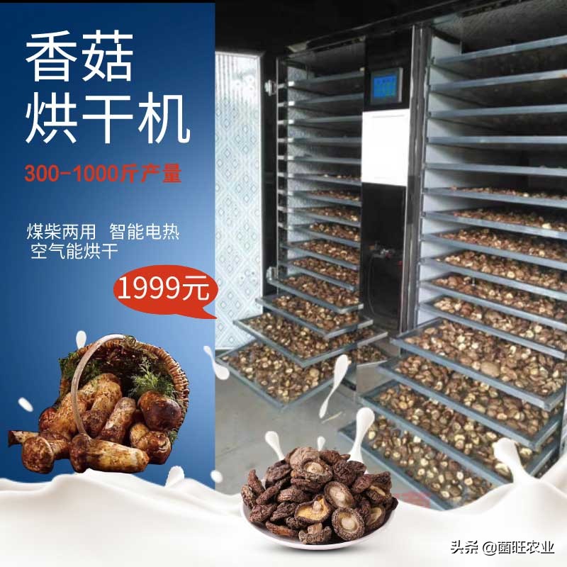 家庭没有烘干机香菇怎么烘干,香菇烘干机的操作