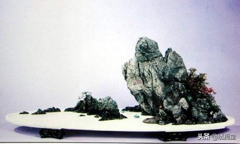 丛林式盆景欣赏,盆景欣赏及制作