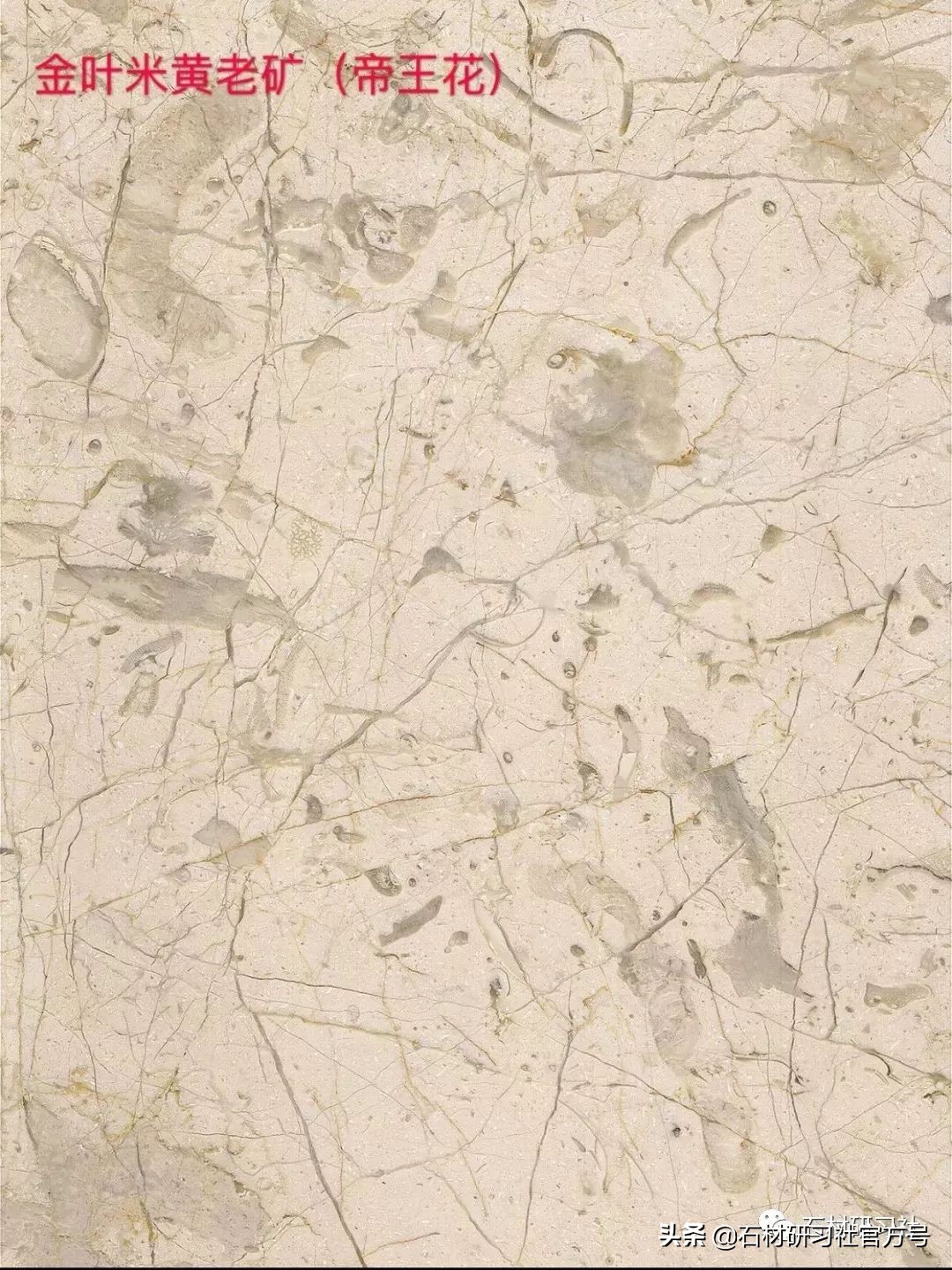 豪宅用的高级天然大理石,别墅铺什么颜色大理石档次最高