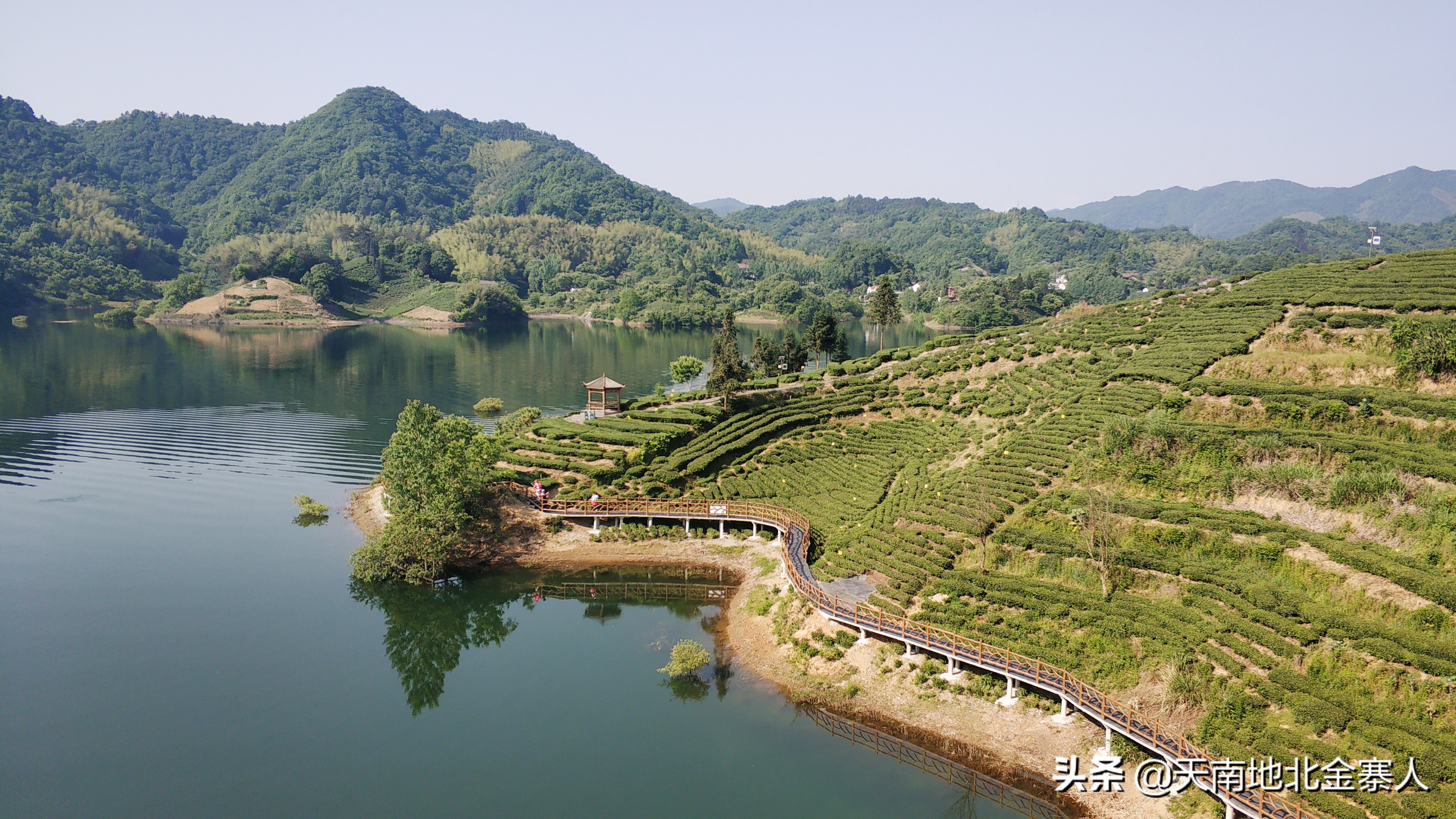 你好我叫王思聪微博截图,你好我叫阿杰