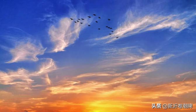 白云飞动蔚蓝天解析,白云飞动蔚蓝天出自哪首诗