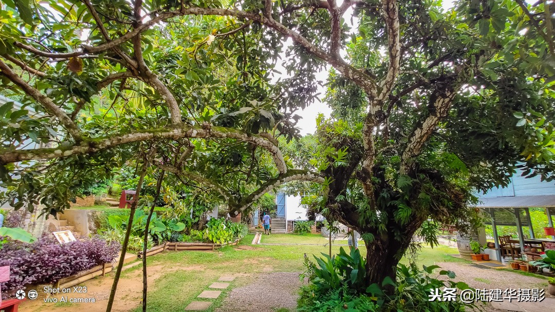 塞舌尔克里奥尔人,人间伊甸园云赏奢华度假地塞舌尔