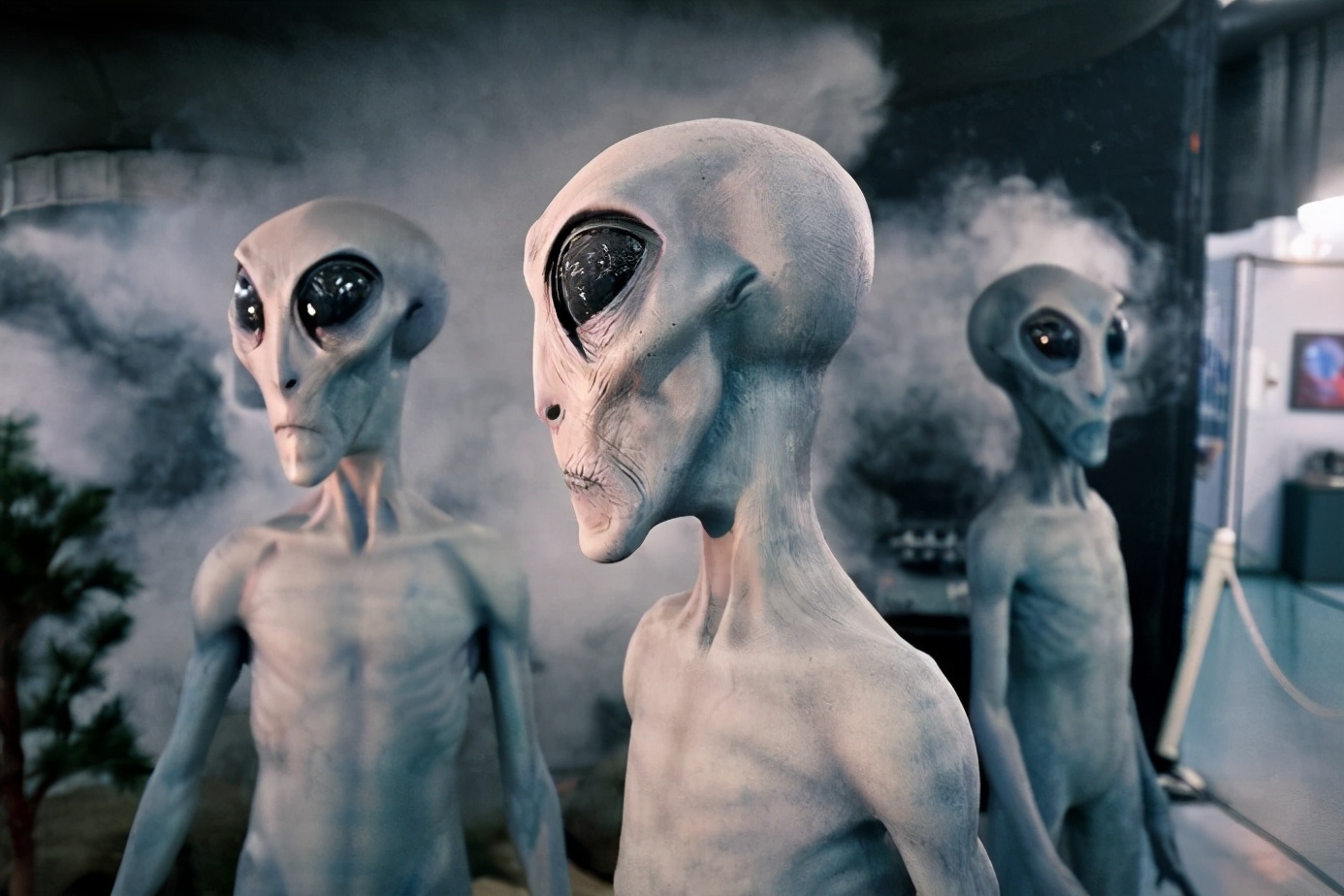 为什么章鱼有点长得像外星人 (为什么章鱼会被称为外星人)